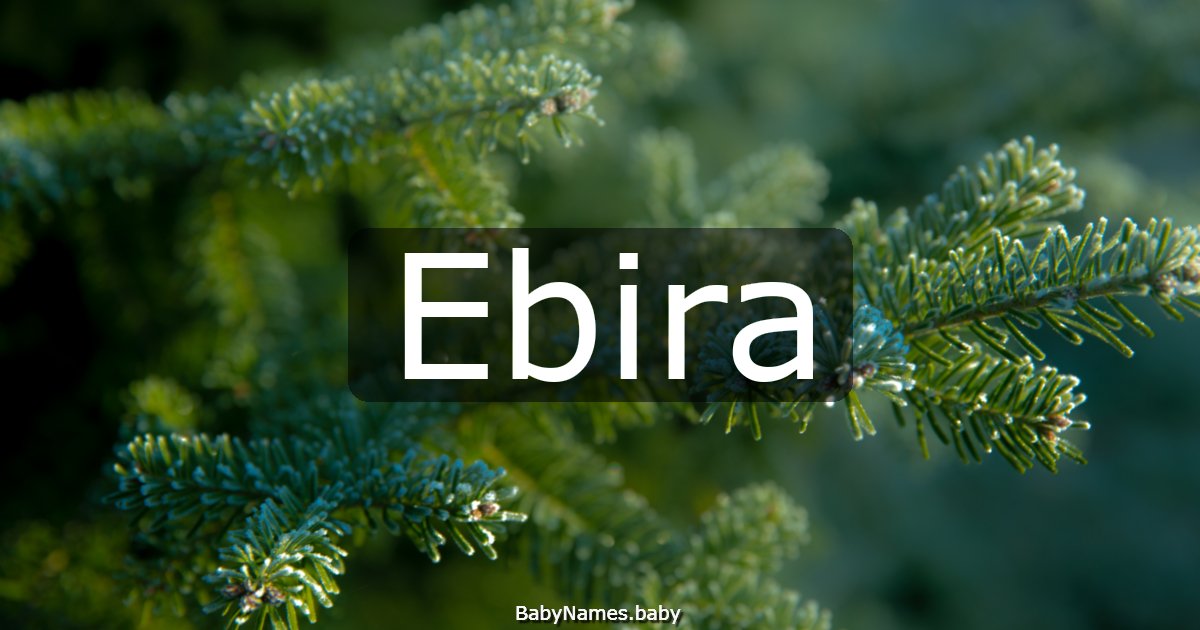 Ebira