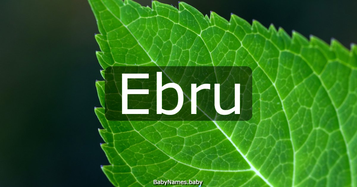 Ebru
