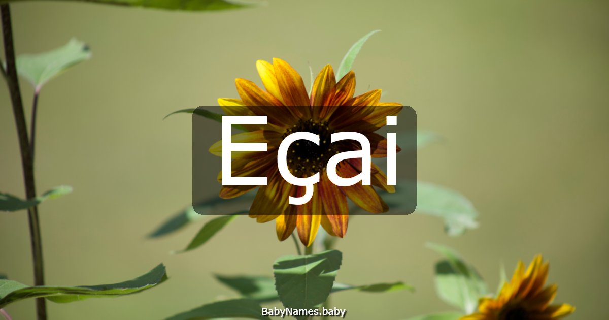 Eçai