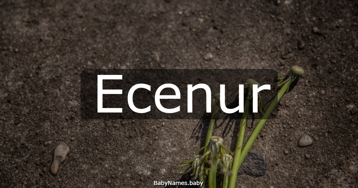 Ecenur