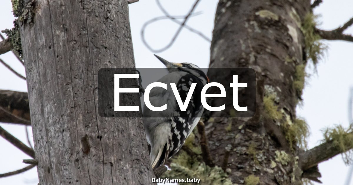 Ecvet