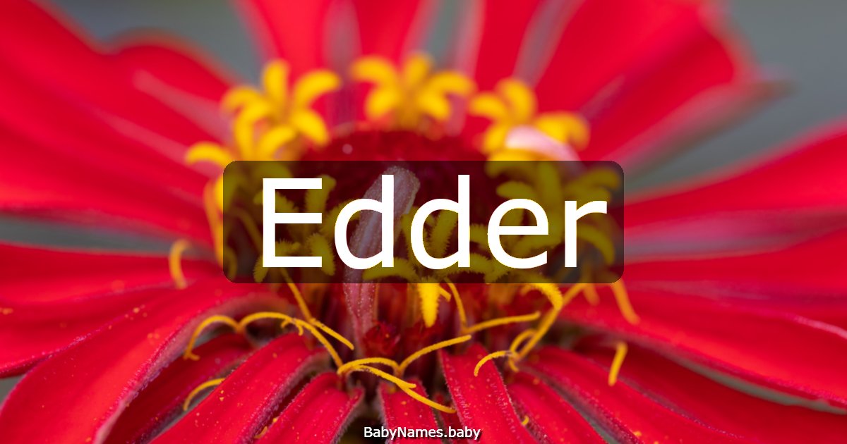 Edder