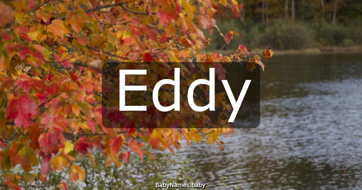 Eddy