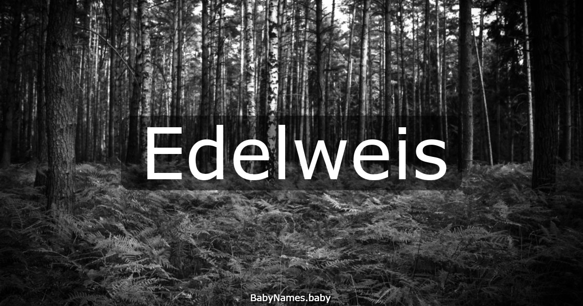 Edelweis