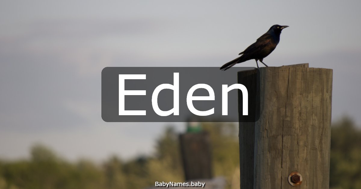 Eden