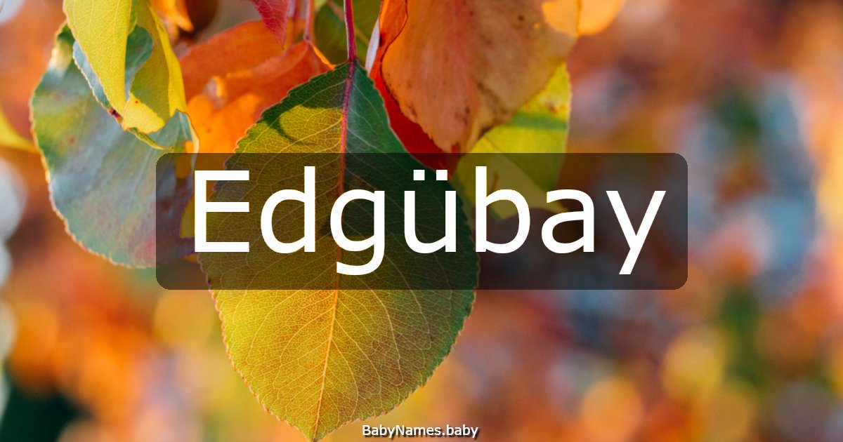 Edgübay
