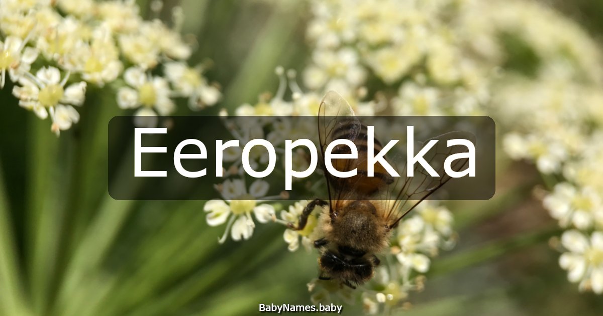 Eeropekka