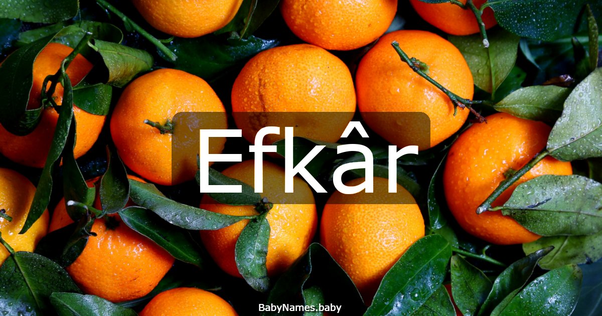 Efkâr