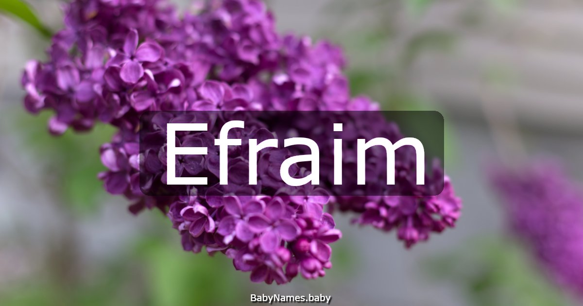 Efraim