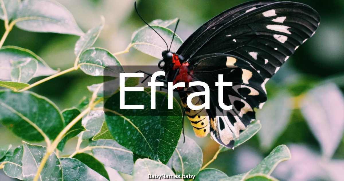 Efrat