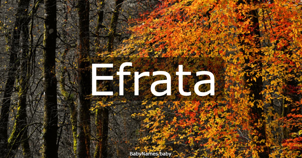 Efrata