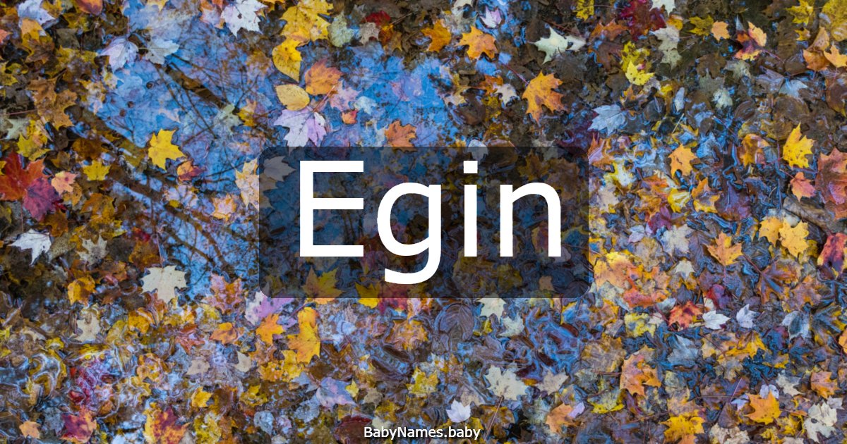 Egin