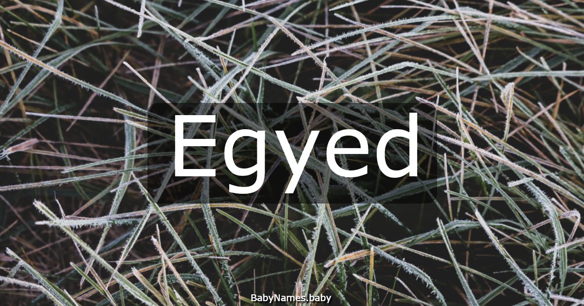 Egyed