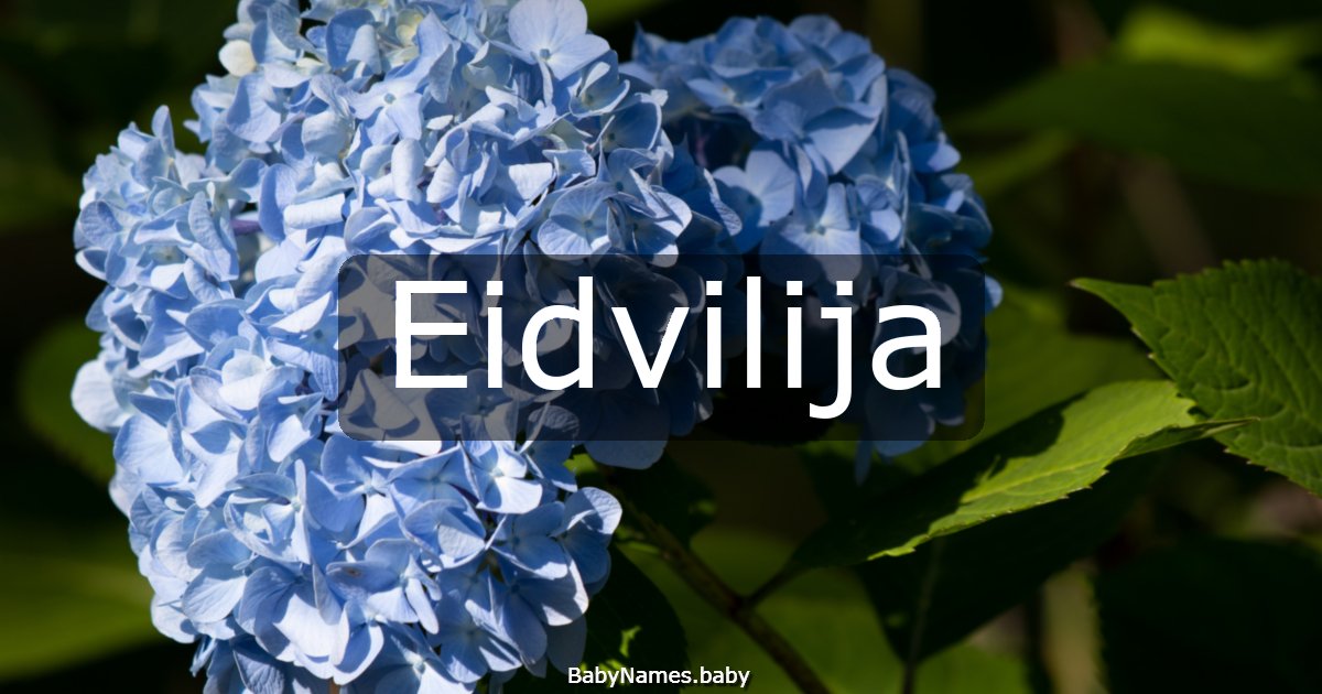 Eidvilija
