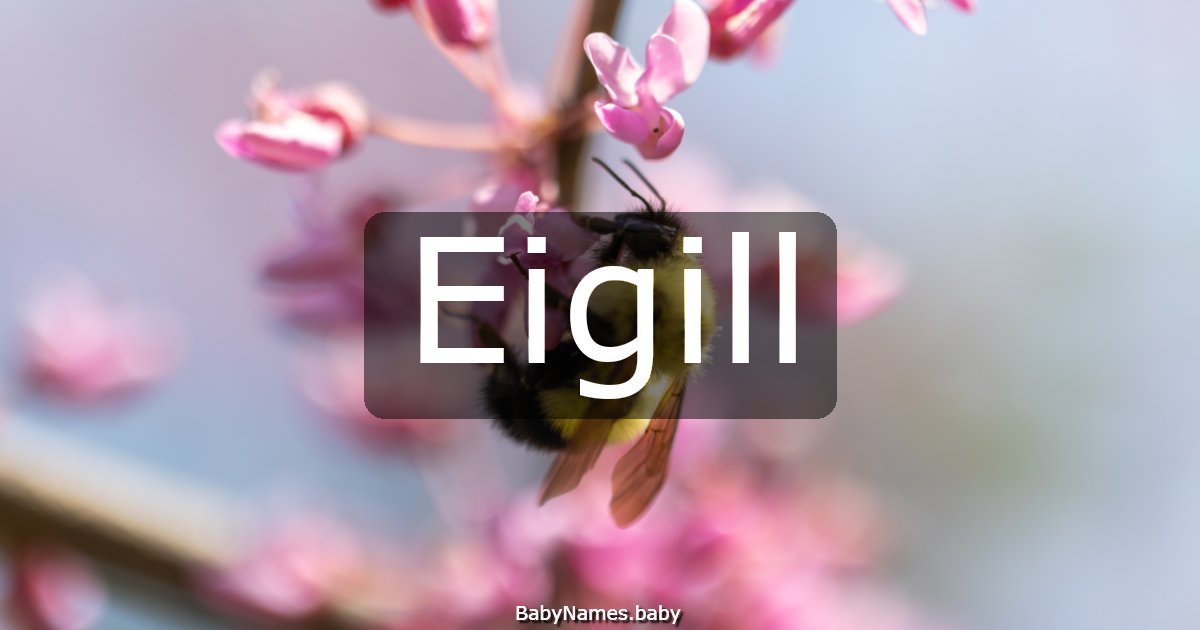 Eigill