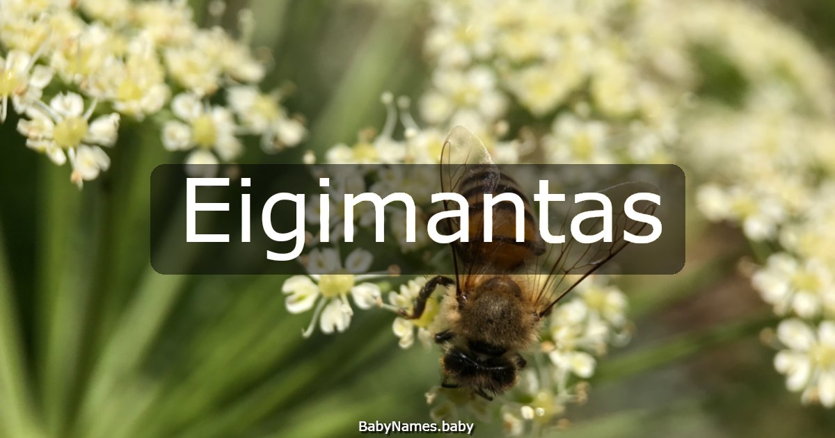 Eigimantas