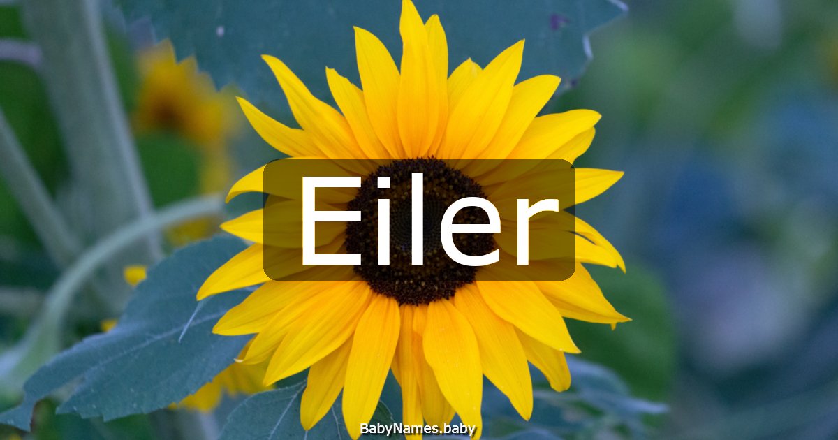 Eiler