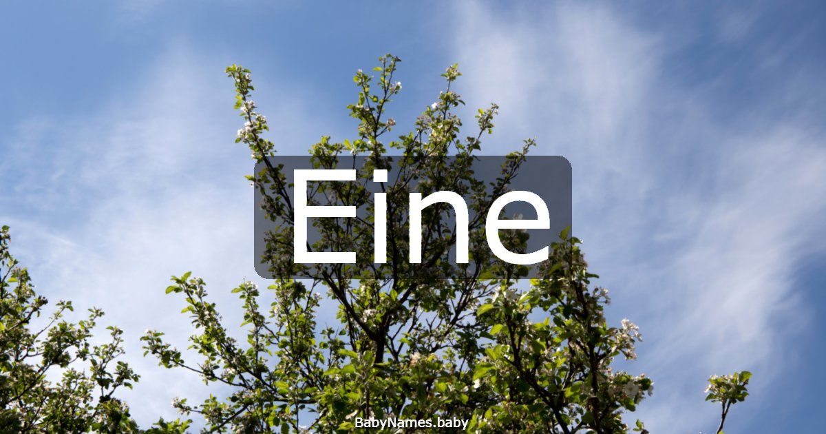 Eine