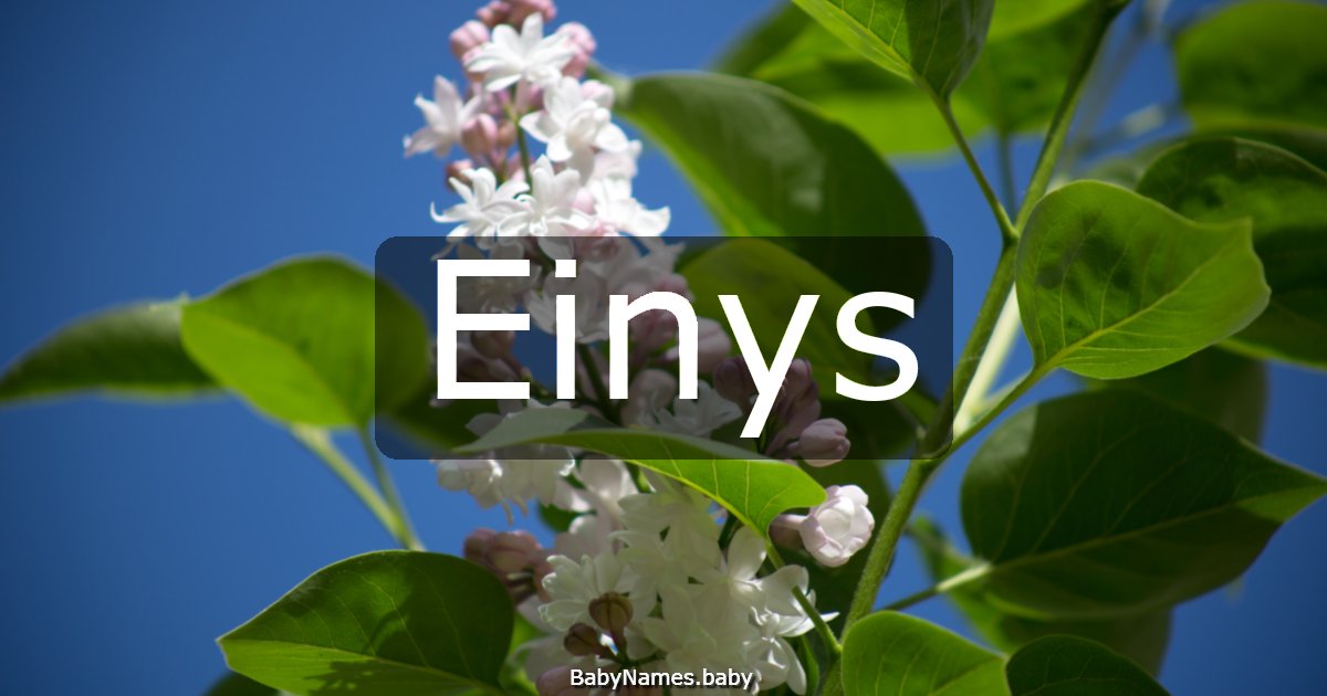 Einys