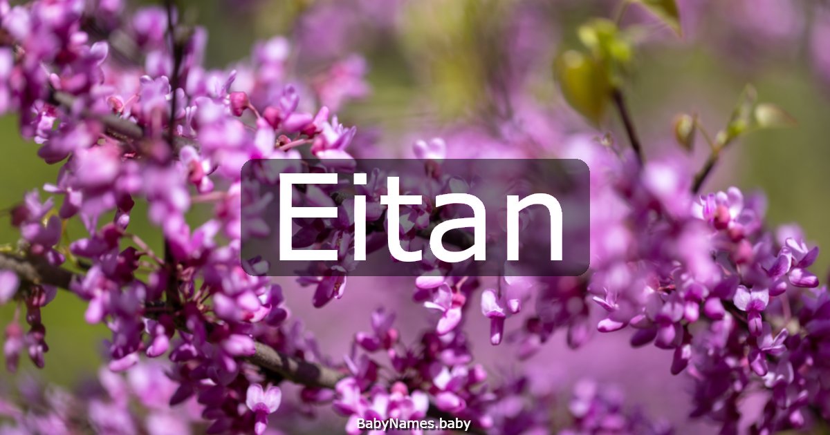 Eitan