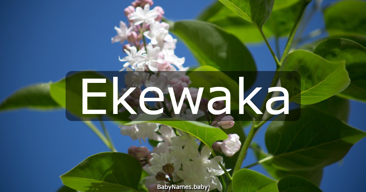 Ekewaka