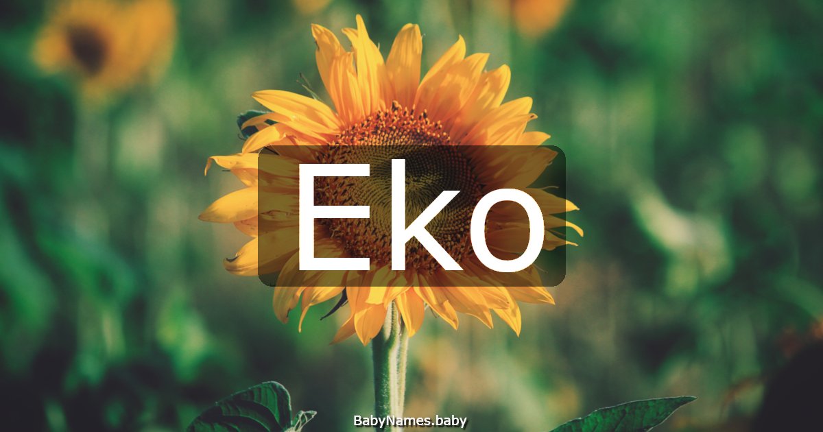 Eko
