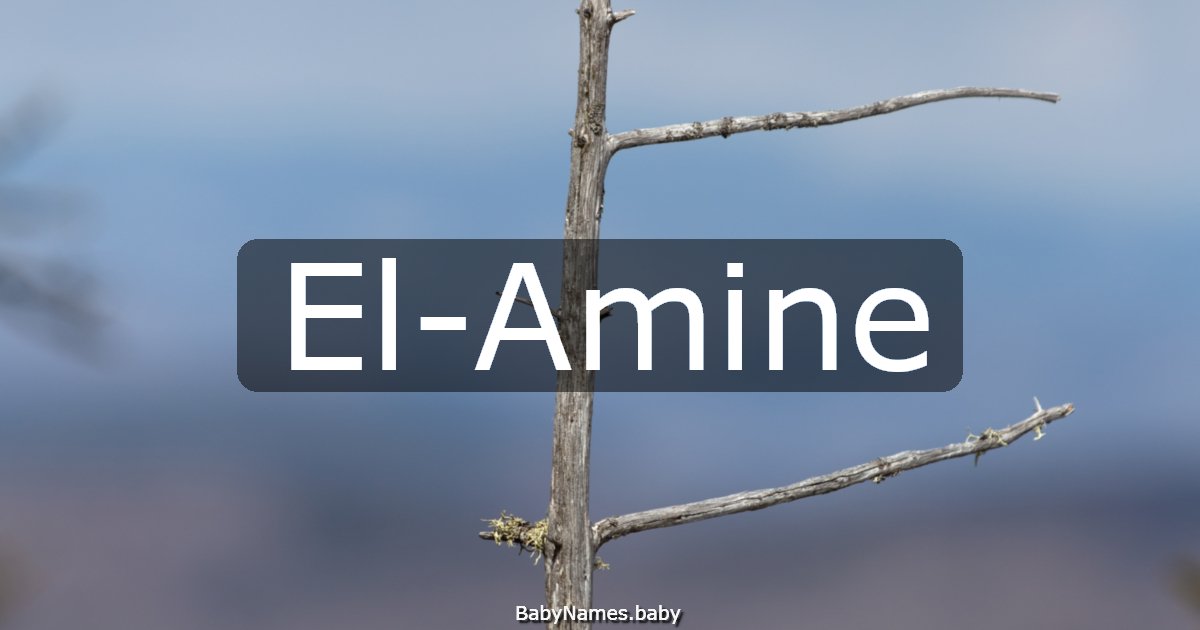 El-Amine