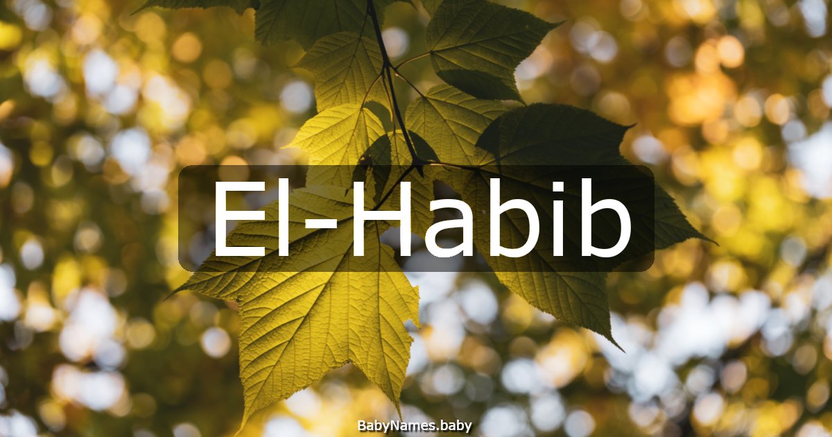El-Habib