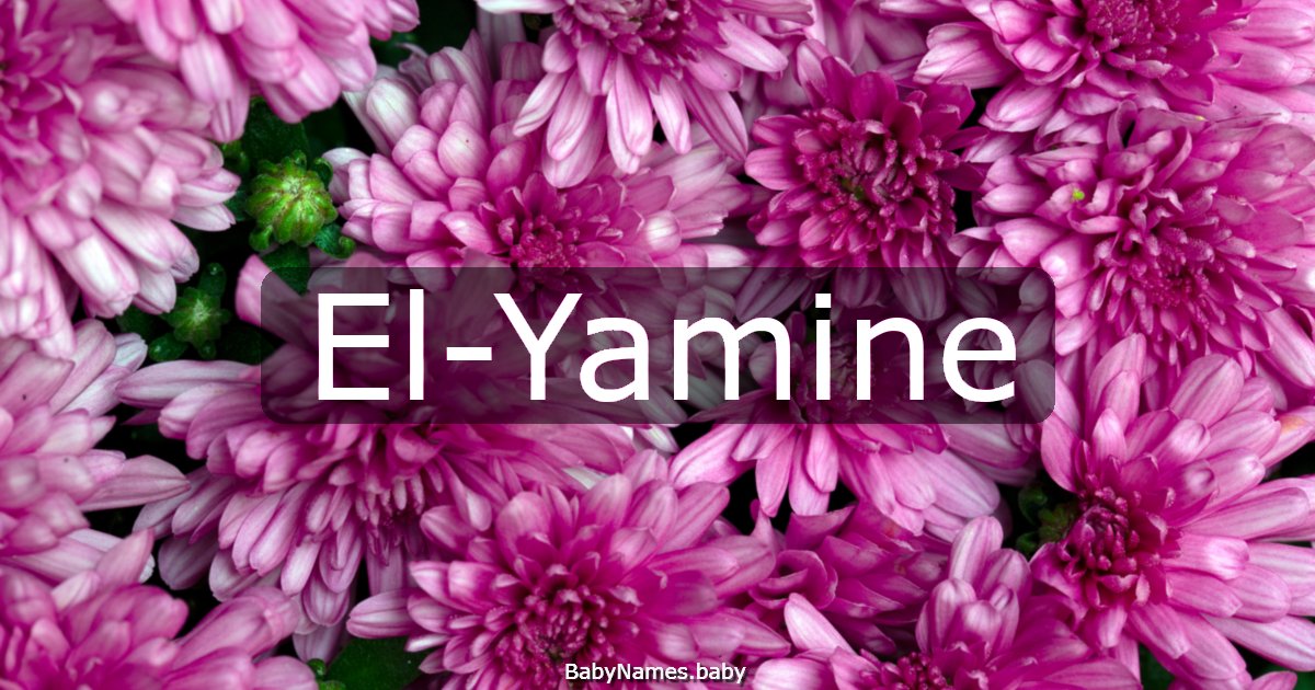 El-Yamine