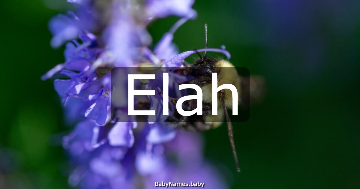 Elah