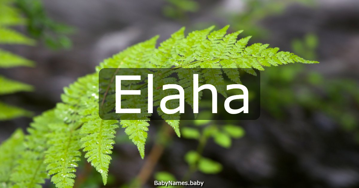 Elaha