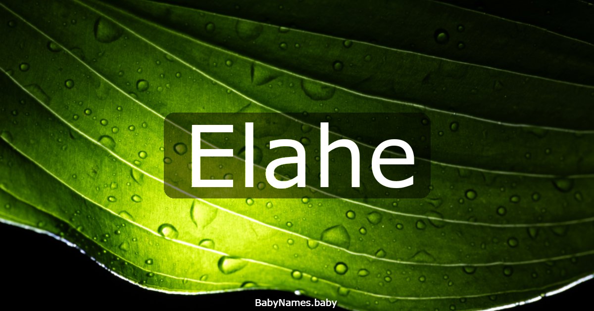 Elahe