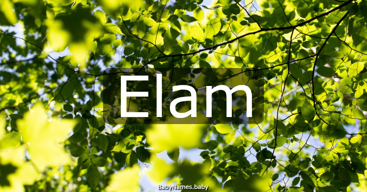 Elam