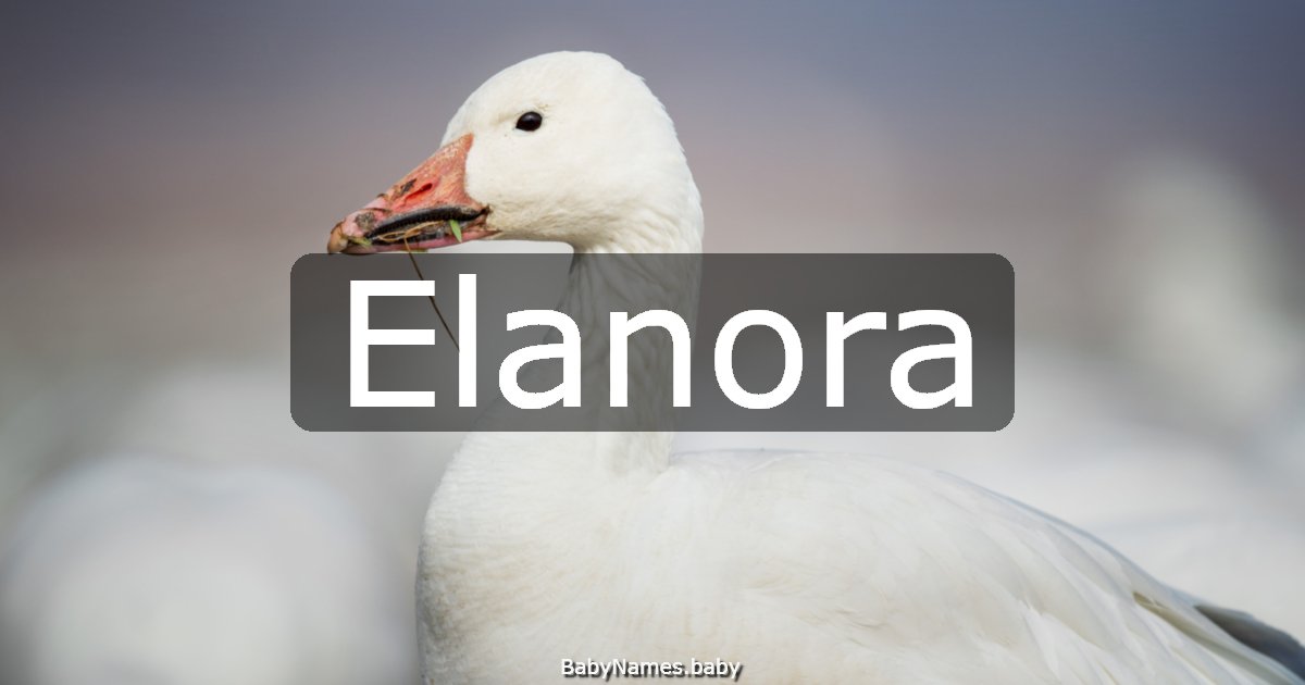 Elanora