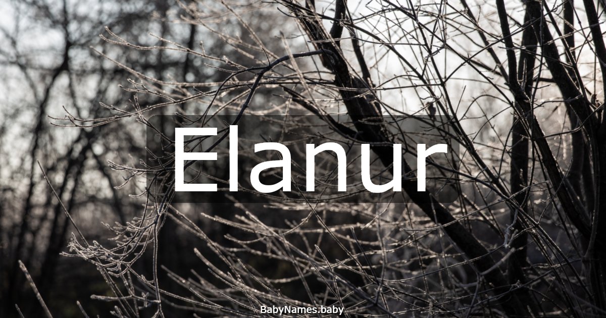 Elanur