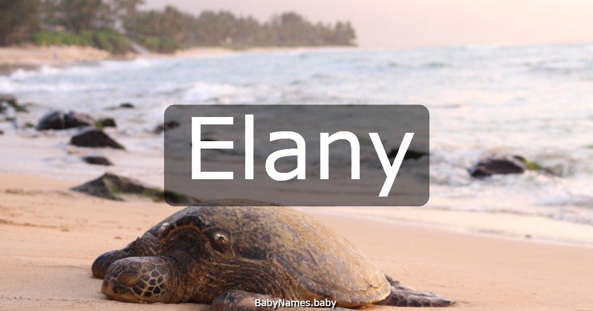 Elany
