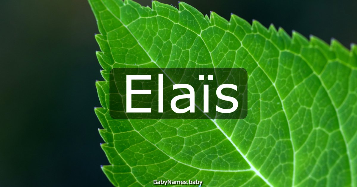 Elaïs