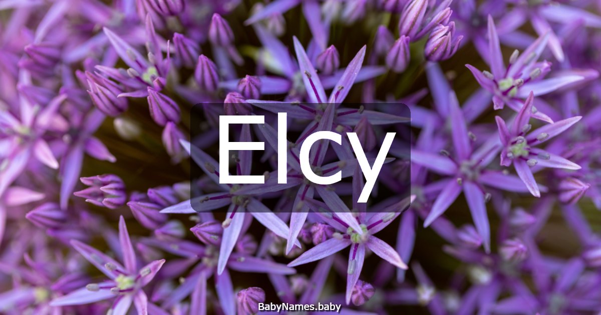 Elcy