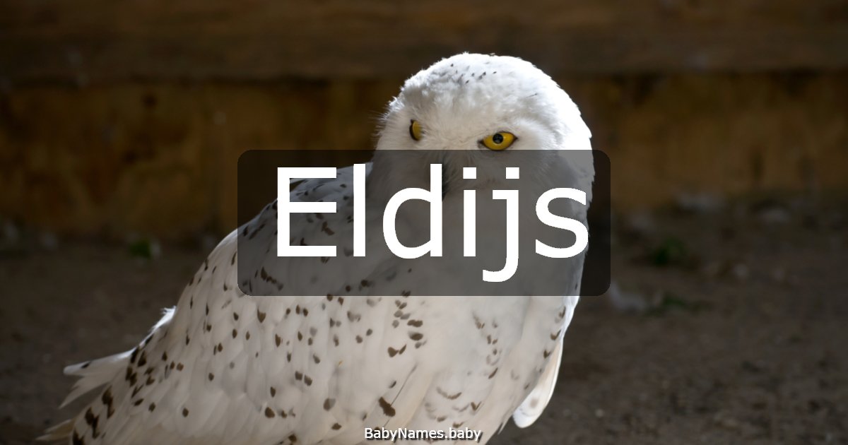Eldijs