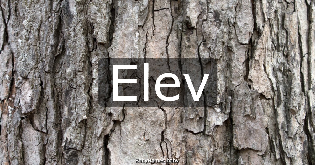 Elev