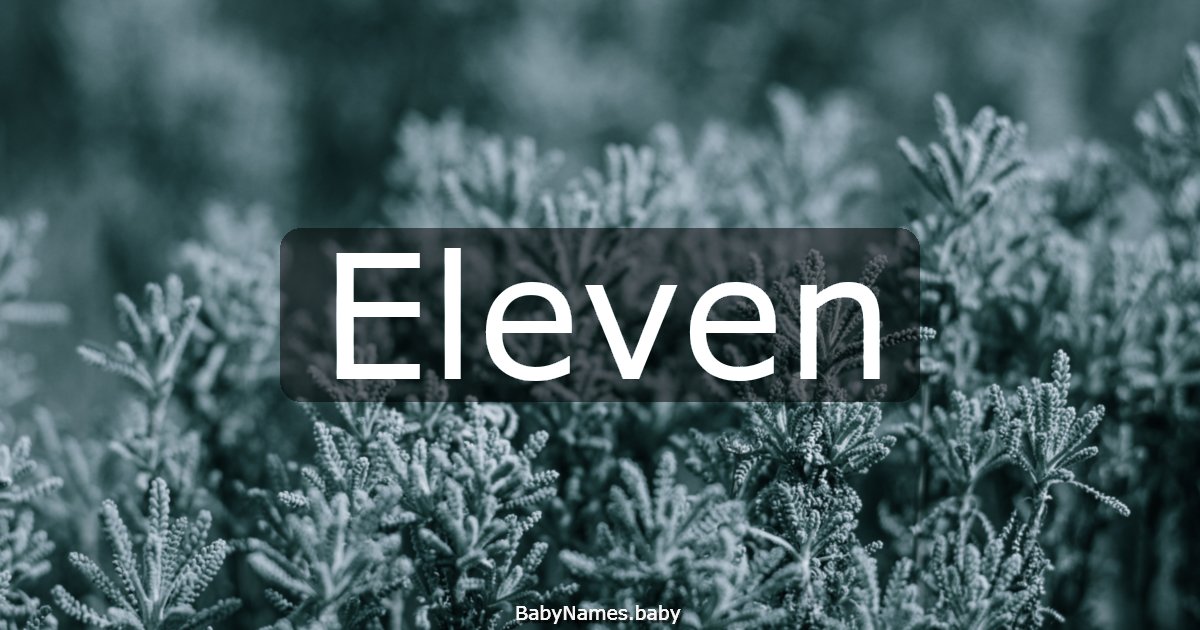 Eleven