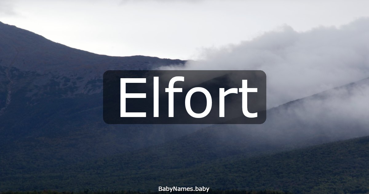 Elfort