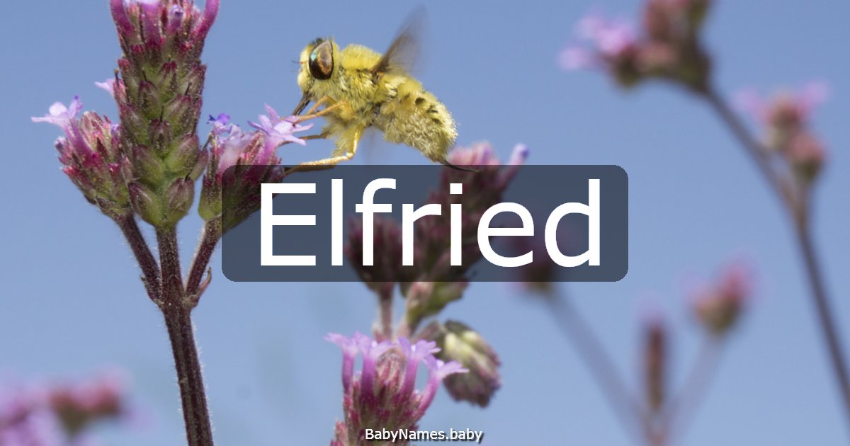 Elfried