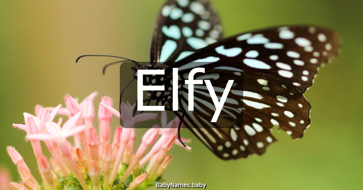 Elfy