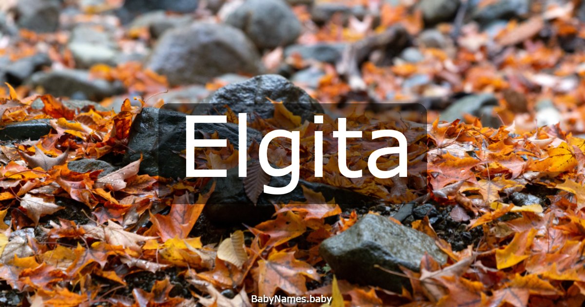 Elgita