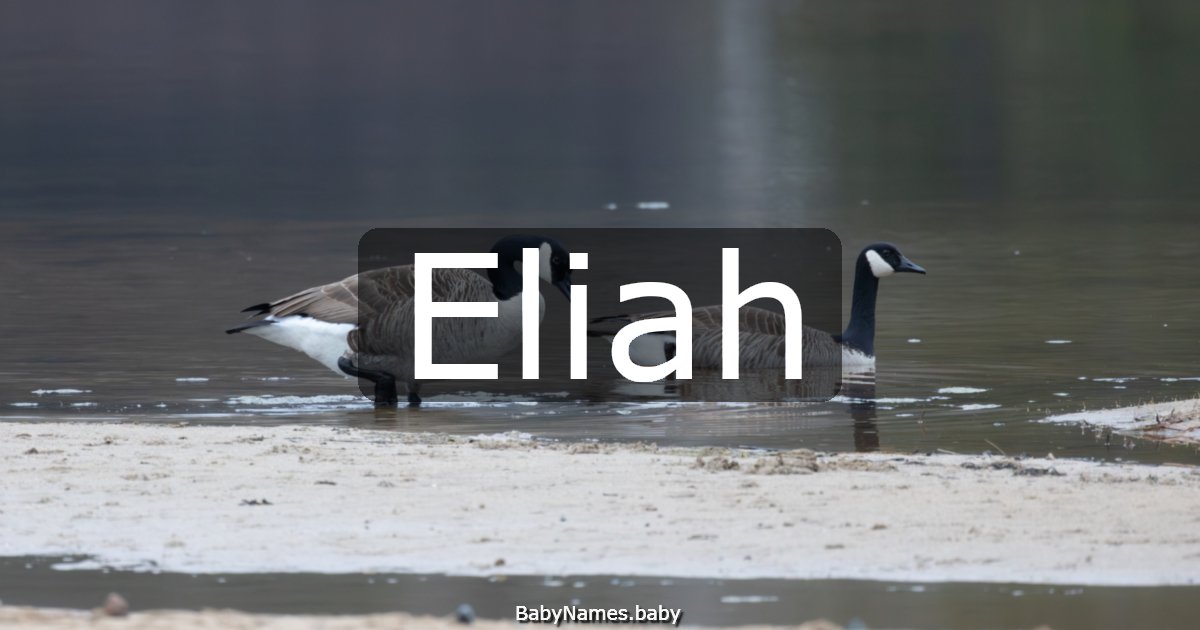 Eliah