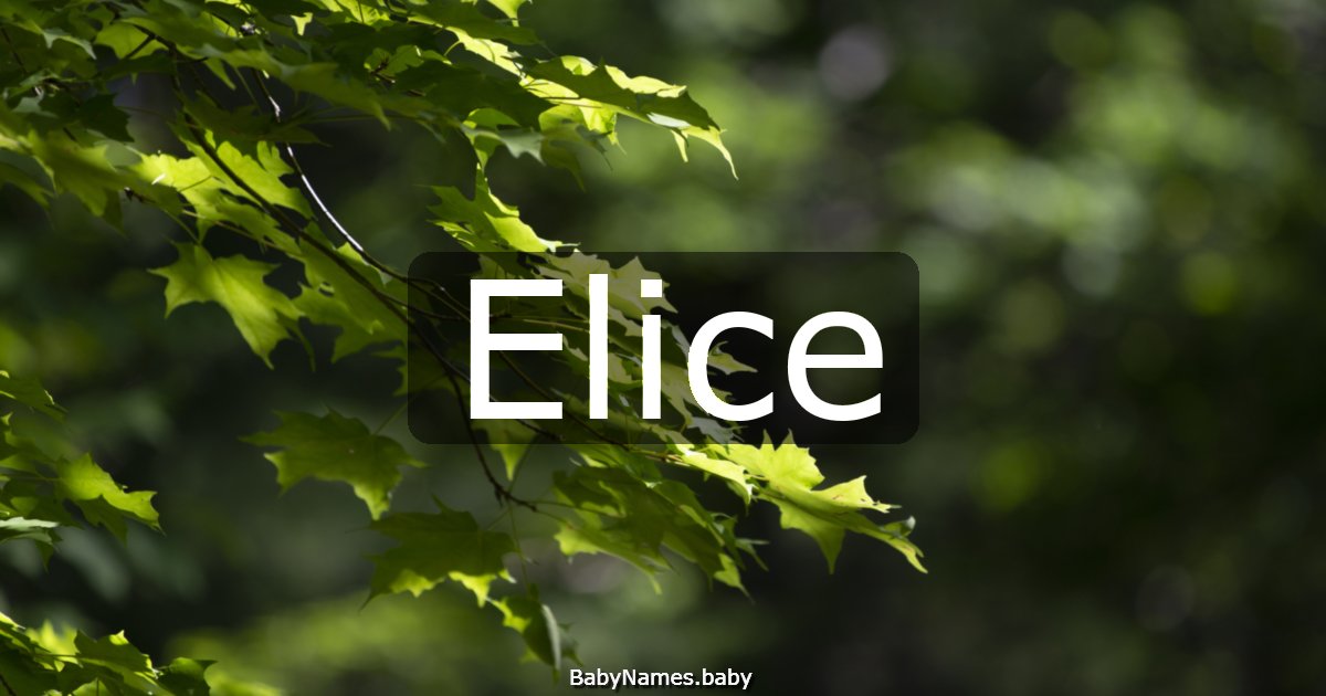 Elice