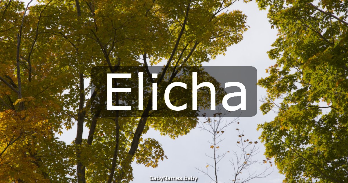 Elicha