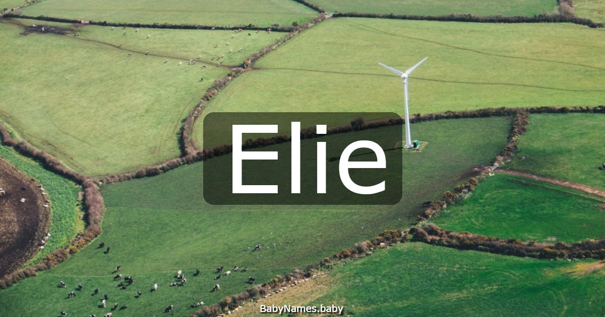 Elie