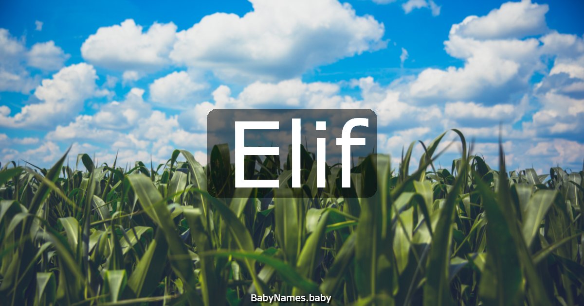 Elif